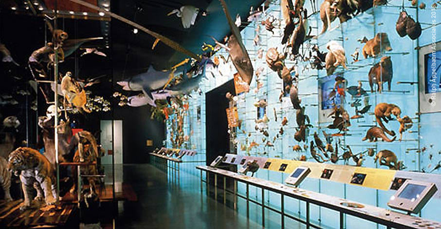 interactive exhibit